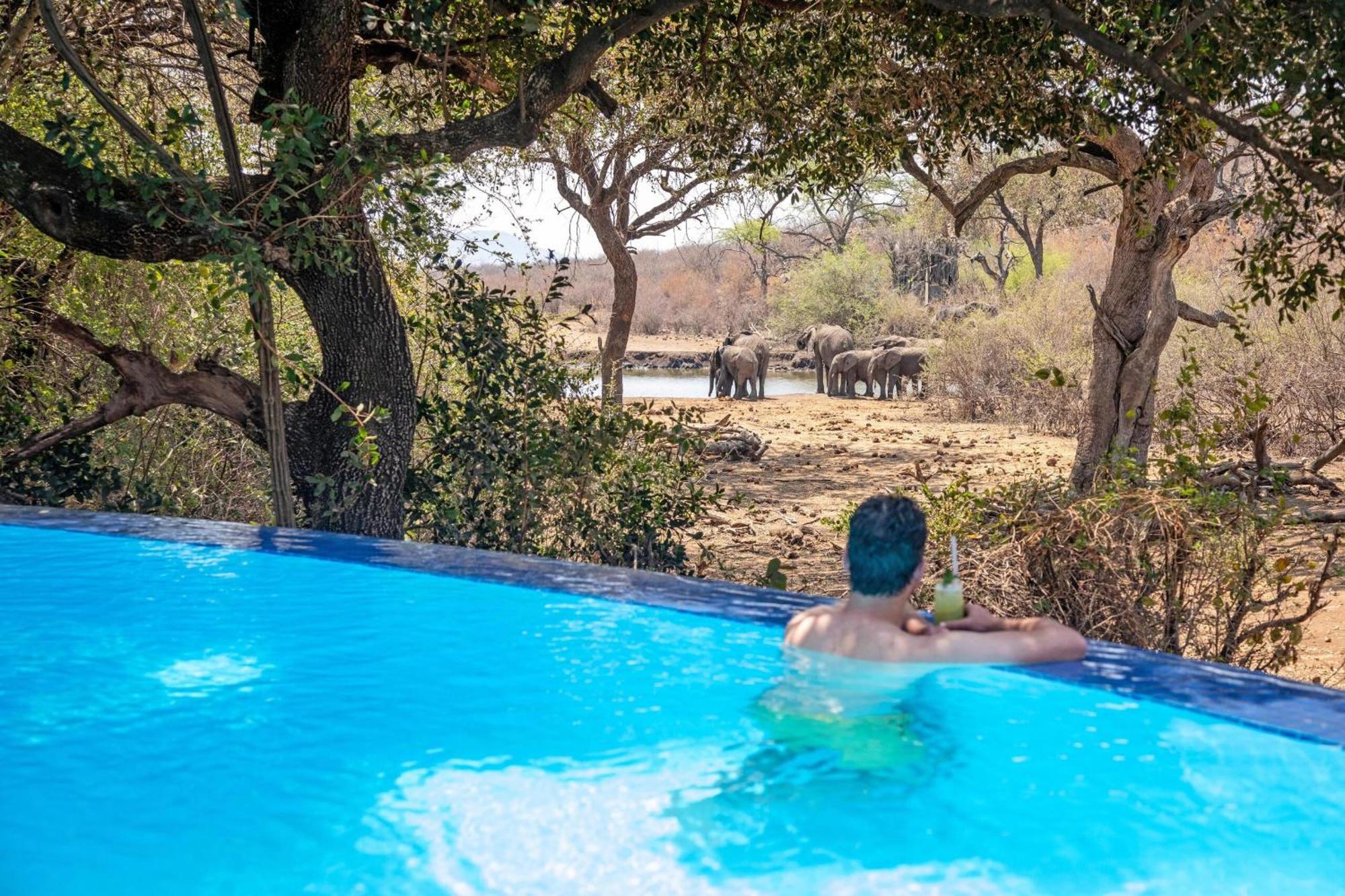 Tuningi Safari Lodge Madikwe Game Reserve Ngoại thất bức ảnh