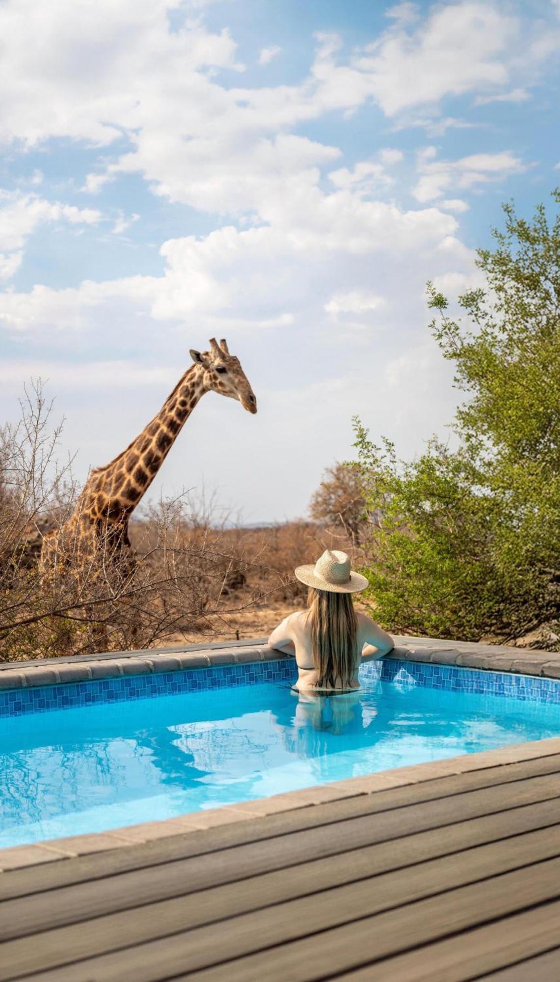Tuningi Safari Lodge Madikwe Game Reserve Ngoại thất bức ảnh